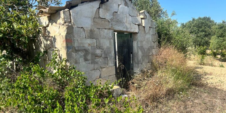 20251014123147-993578-3