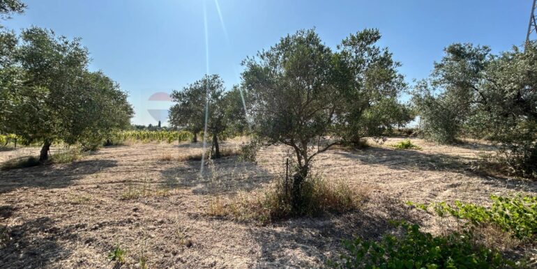 20251014123151-993578-4