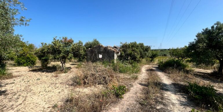 20251014123155-993578-5