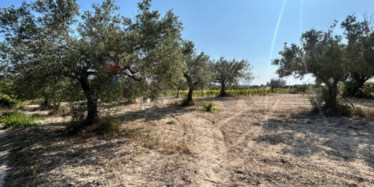 20251014123200-993578-6