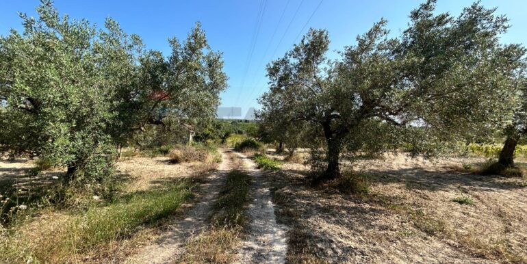 20251014123204-993578-7