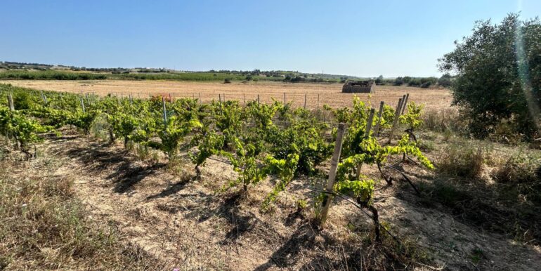 20251014123208-993578-8