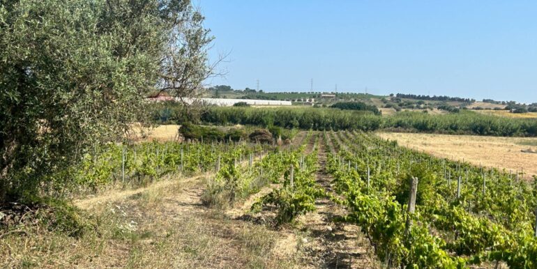 20251014123215-993578-10