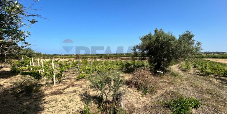 20251014123220-993578-11