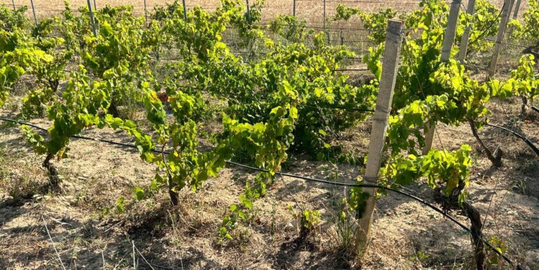 20251014123224-993578-12