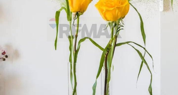 20251014133259-993590-6