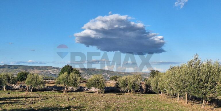 2025101495449-993420-1