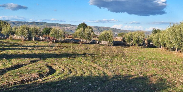 2025101495453-993420-2