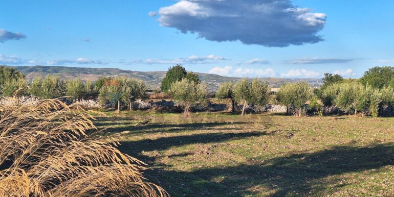 2025101495457-993420-3