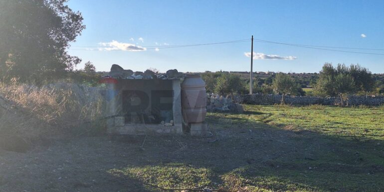 2025101495501-993420-4