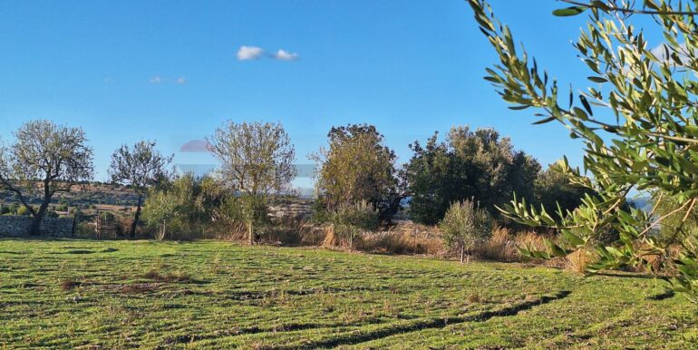 2025101495503-993420-5