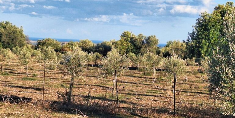 2025101495506-993420-6