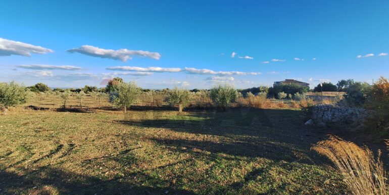 2025101495512-993420-8