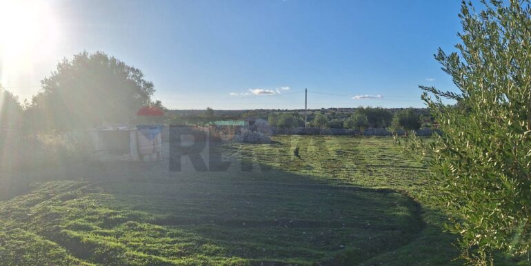 2025101495515-993420-9