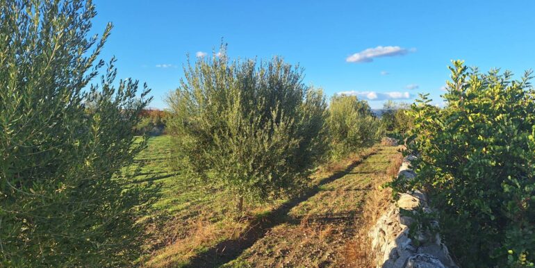 2025101495518-993420-10