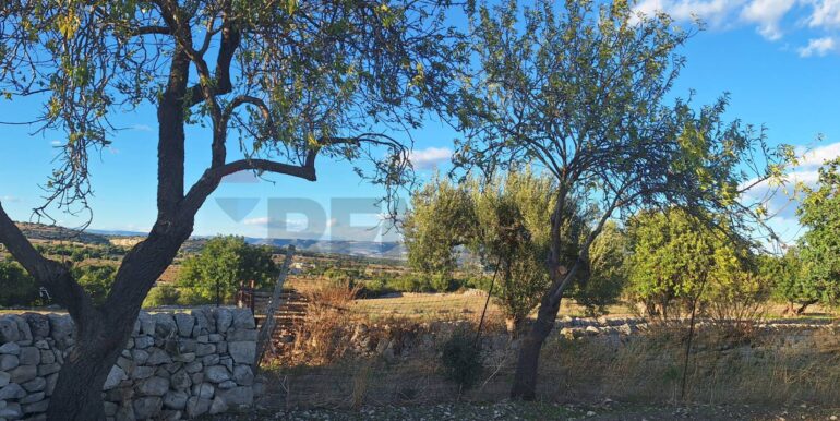 2025101495522-993420-11