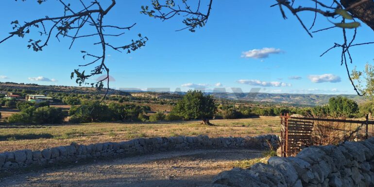 2025101495525-993420-12