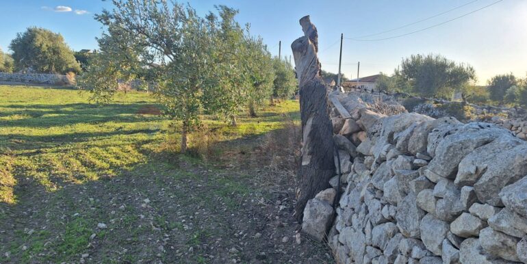 2025101495528-993420-13