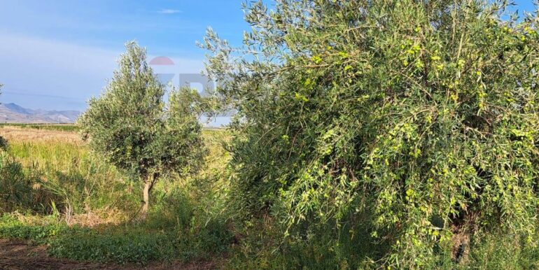 20251018194415-994422-2