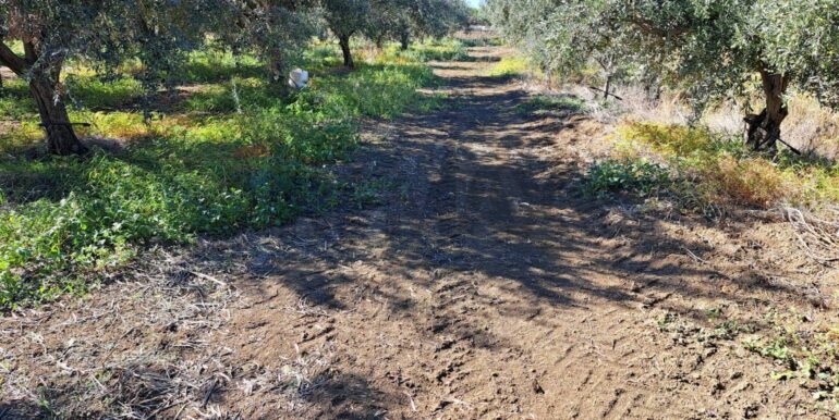 20251018194418-994422-3