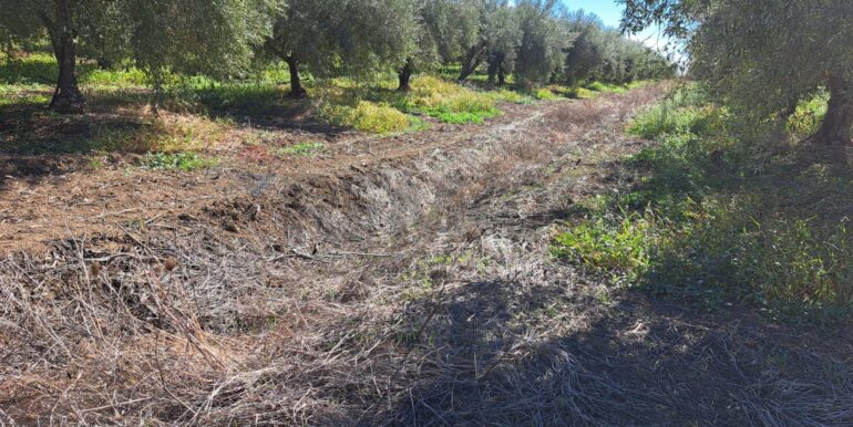 20251018194422-994422-4