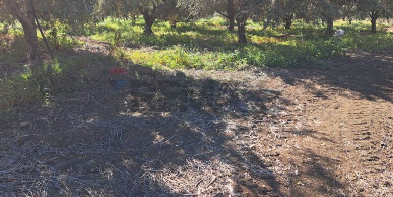 20251018194425-994422-5