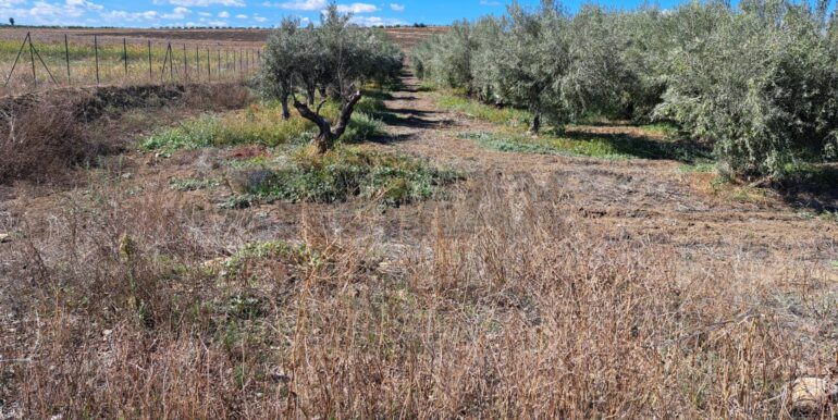 20251018194429-994422-6