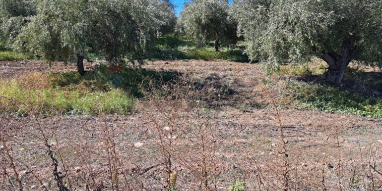 20251018194432-994422-7