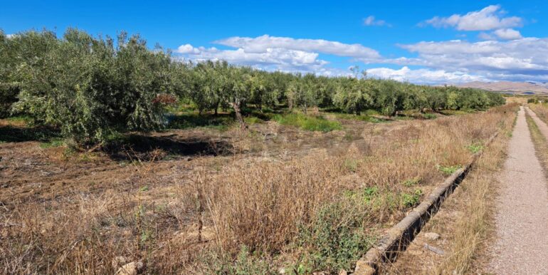 20251018194435-994422-8