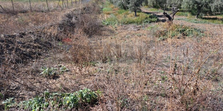 20251018194439-994422-9