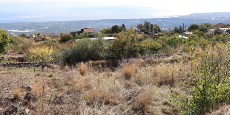 20251020161220-994068-3