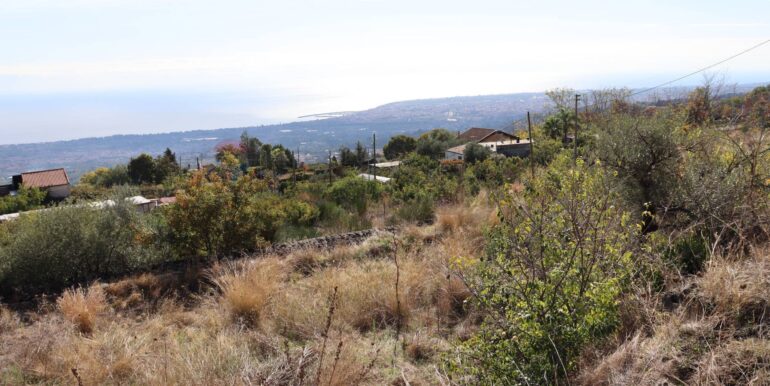 20251020161223-994068-4