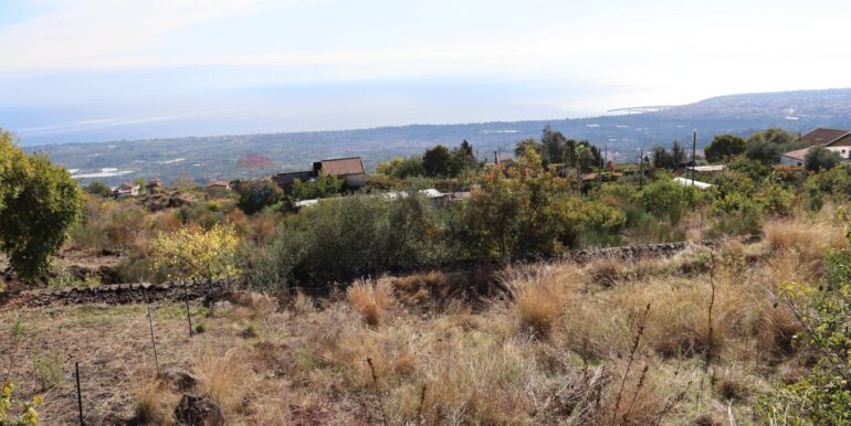 20251020161227-994068-5