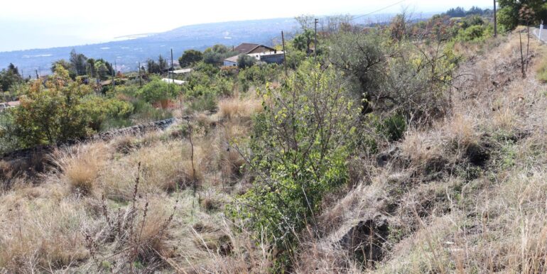 20251020161231-994068-6