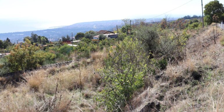 20251020161235-994068-7