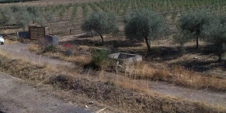 20251020183948-994422-10