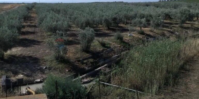 20251020183950-994422-11