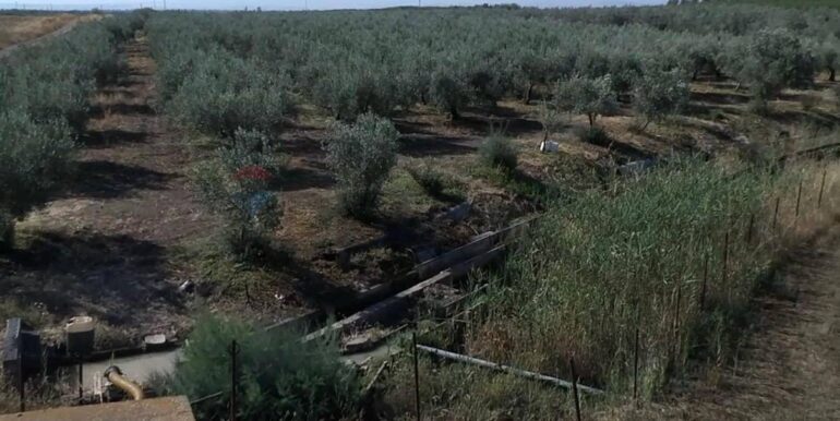 20251020183953-994422-13