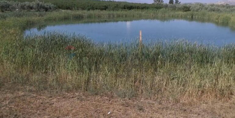 20251020184012-994422-17