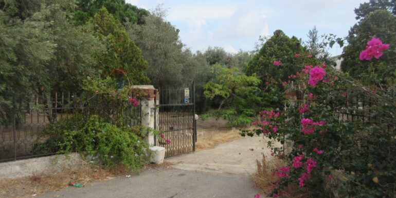 20251021195129-995279-1