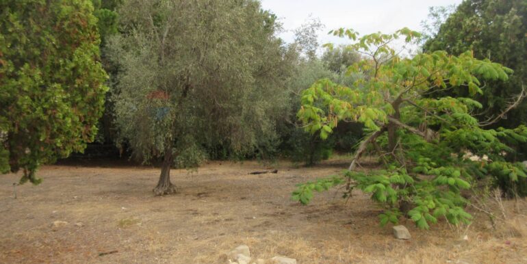 20251021195130-995279-3