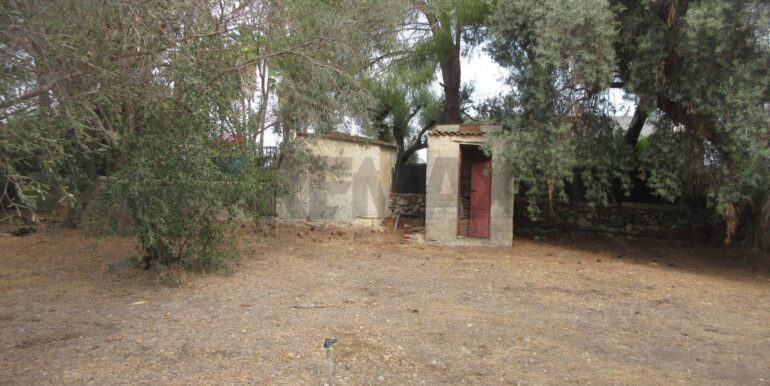 20251021195130-995279-6