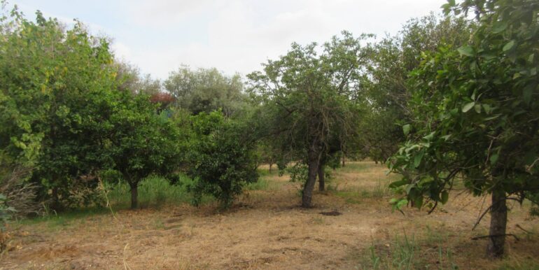 20251021195132-995279-14