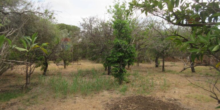 20251021195132-995279-17