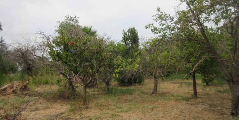 20251021195133-995279-18