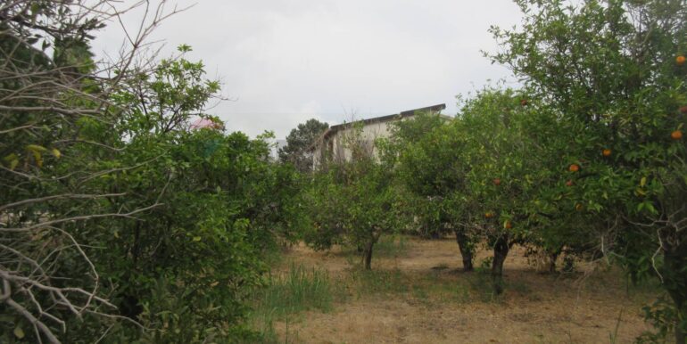 20251021195133-995279-19