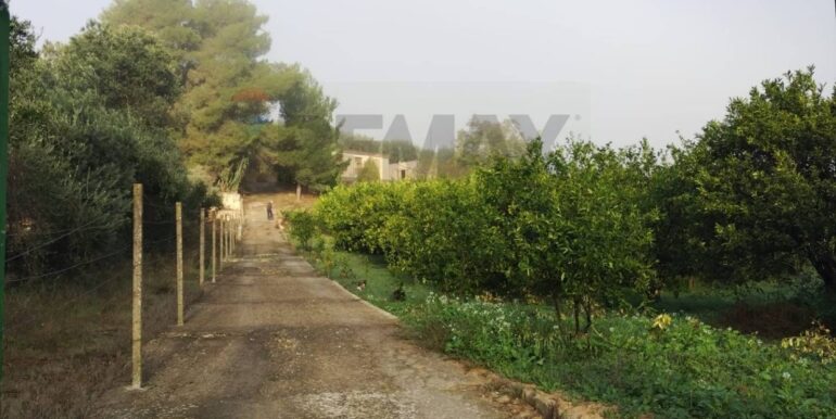 20251023112901-995554-1