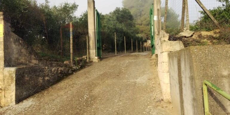 20251023112909-995554-3