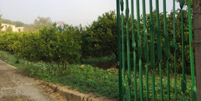 20251023112912-995554-4