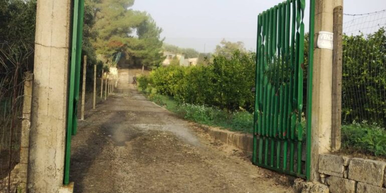 20251023112915-995554-5